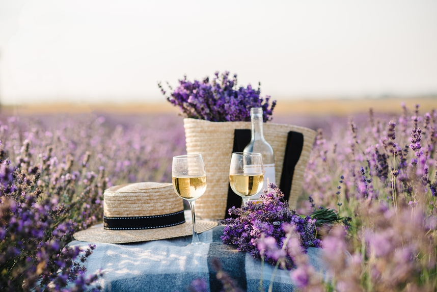 The most famous French wines: the definitive guide